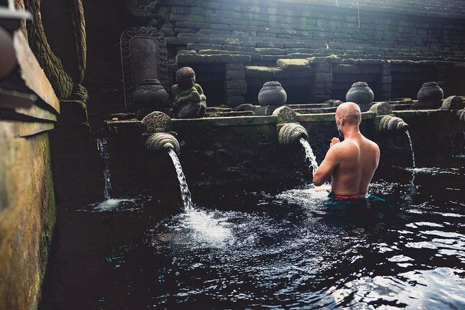 Ubud Iconic Full Day Tour Monkey Forest Rice Terraces Waterfalls ...