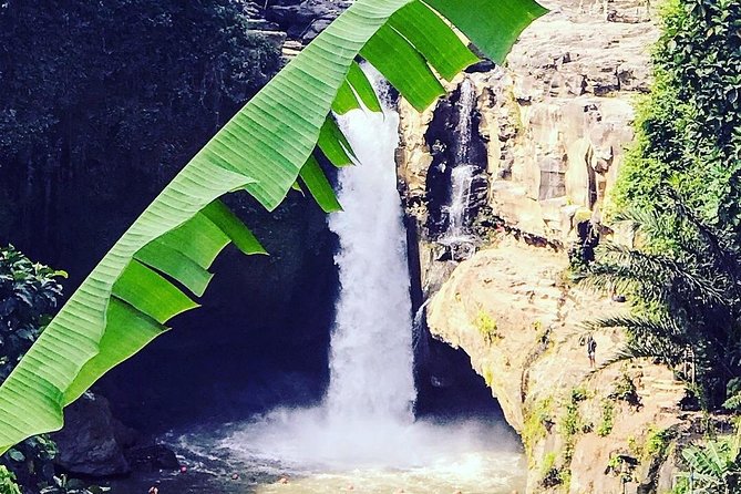 Ubud iconic waterfall and temple tours - A full day built around Ubud’s four big sights