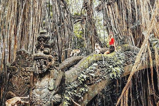 Ubud iconic waterfall and temple tours - Why the guide can make or break the day