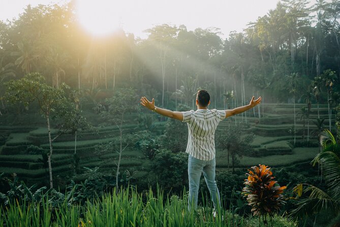 UBUD Instagram Spot Tour with Photographer - Stop three: Tegalalang Rice Terrace