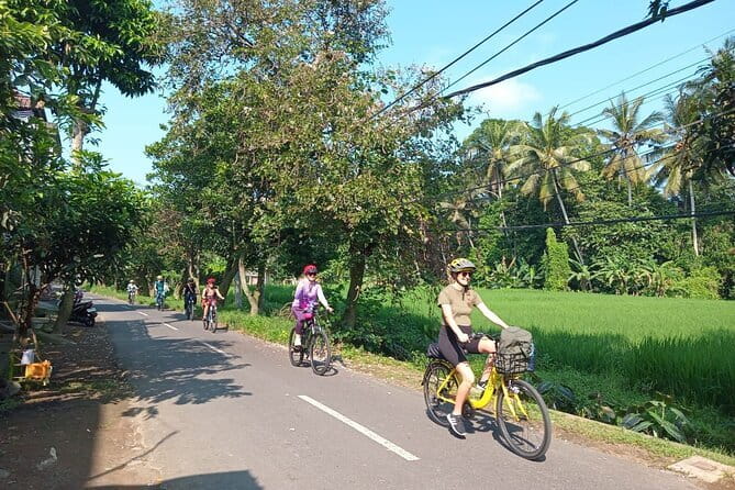 Ubud : Kintamani Downhill Cycling Tour with Lunch - Seeing Bali beyond the car window