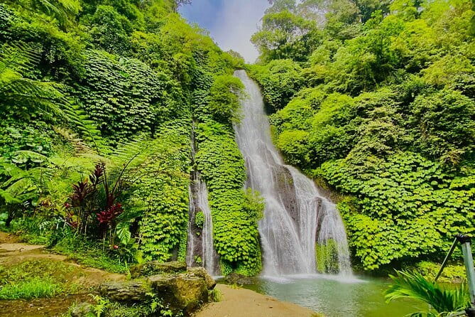 Ubud : Kintamani Downhill Cycling Tour with Lunch - Pickup, timing, and the group size