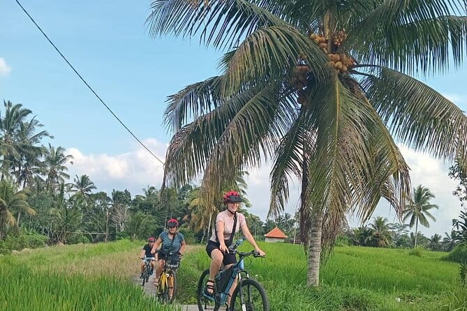 Ubud : Kintamani Downhill Cycling Tour with Lunch - Bayung Gede to the village roads