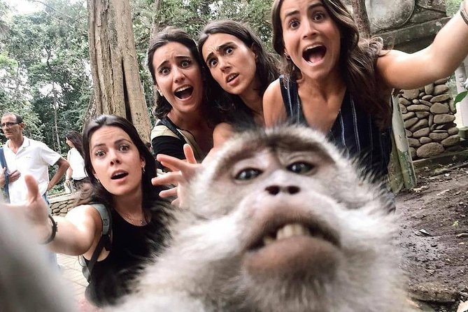 Ubud Monkey Forest, Holy Water Temple & Waterfalls Tours - 1 P.M. Indonesian Food At Waroeng D’Yoni