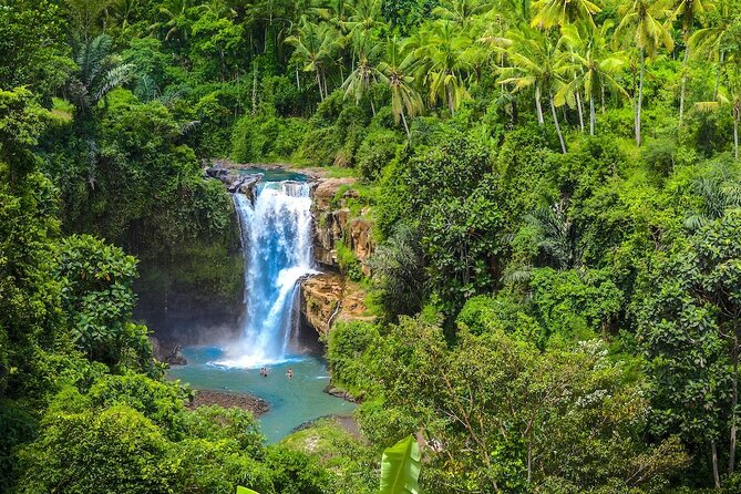 Ubud: Monkey Forest, Jungle Swing, Rice Terrace, and Water Temple - Adding Celuk Village and Ubud’s traditional market