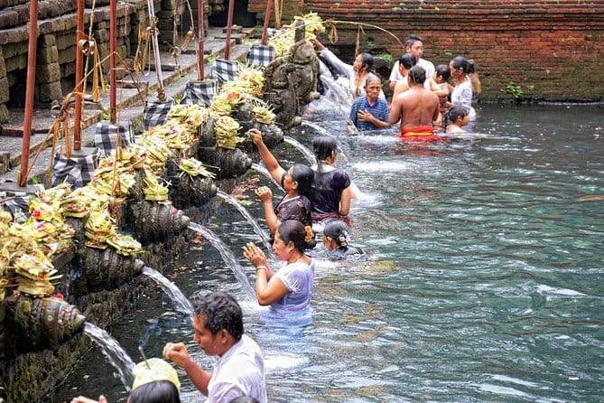 Ubud Monkey Forest Rice Terrace Temple Waterfall Private Tour - The guide and private transport make the difference