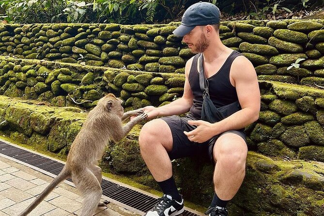 Ubud Monkey Forest, Rice Terrace & Tirta Empul Temple Tour - Why this Ubud day works well