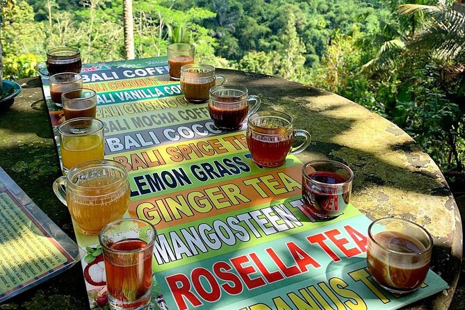 Ubud : Monkey Forest, Rice Terrace, Waterfall, Swing - The Ubud Jungle Swing is optional for a reason