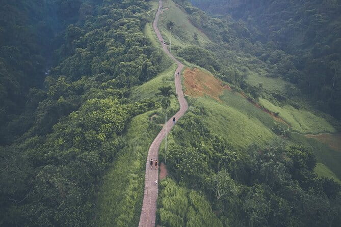 Ubud: Monkey Forest, Rice Terraces and Jungle Swing Tour - The guide can make or break the day