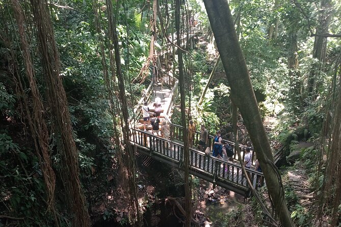 Ubud Monkey Forest Sanctuary Entrance Ticket All Inclusive - Why the guide can change the visit