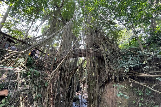 Ubud Monkey Forest Sanctuary Entrance Ticket All Inclusive - Who will enjoy this best?