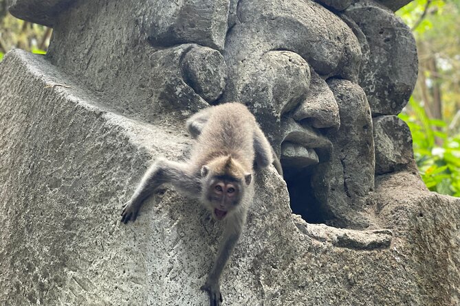 Ubud Monkey Forest Sanctuary Entrance Ticket All Inclusive - Walking beneath Ubud’s old trees
