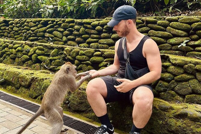 Ubud Monkey Forest, Scenic Rice Terrace with Swing and Waterfall - Kanto Lampo: Easy Access and a Different Look