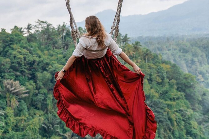 Ubud Monkey Forest, Scenic Rice Terrace with Swing and Waterfall - How the Driver Shapes the Experience
