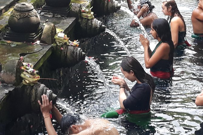 Ubud Natural Gems And Secret Waterfall Private Guided Tour - Tegalalang Rice Terrace: a short walk with famous views