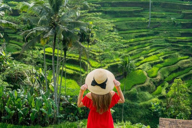 Ubud: Private Customized Highlights Tour - Why the private format works well in Ubud