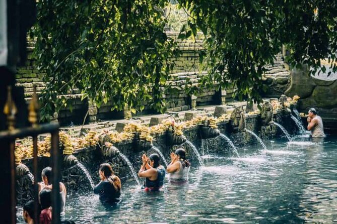 Ubud: Private Customized Highlights Tour - Waterfalls for a wetter, more active day
