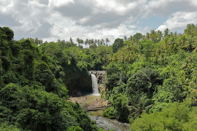 Ubud Private Nature and Temple Tour - Walking through Pemulan Bali Coffee Plantation
