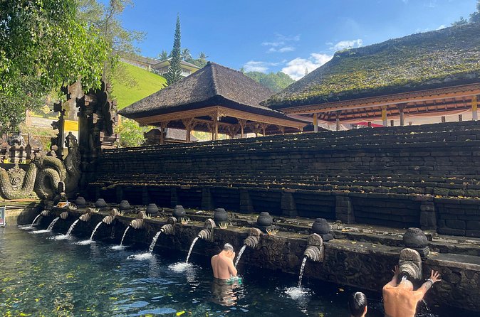 Ubud Private Nature and Temple Tour - Price, extra costs, and overall value
