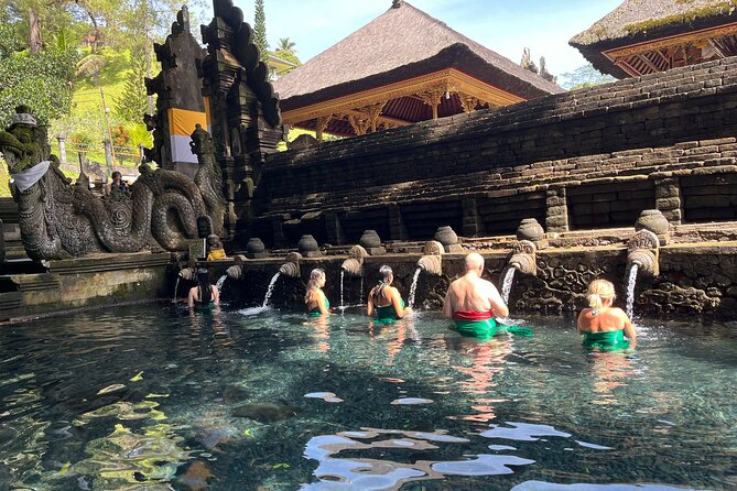 Ubud Private Nature and Temple Tour - Starting with macaques at the Sacred Monkey Forest