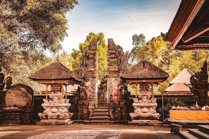 Ubud Private Tour - Why this private Ubud day works well