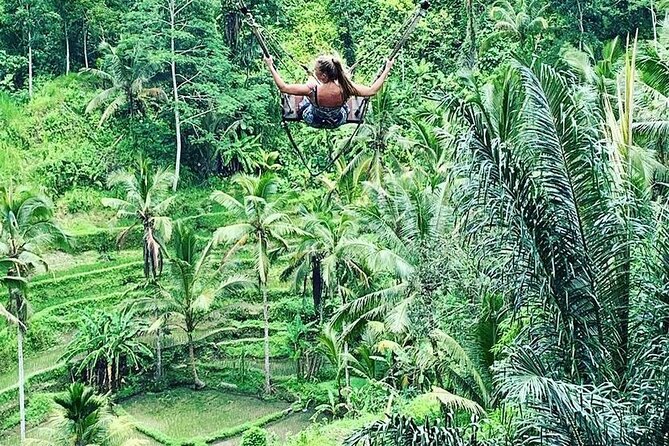 Ubud Private Tour - Sacred Monkey Forest: a strong first attraction