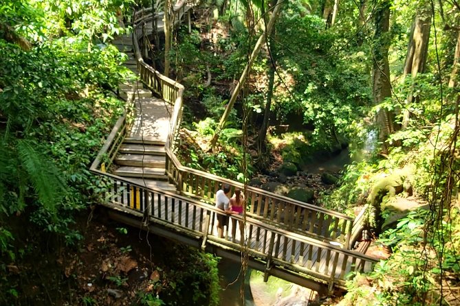 Ubud Private Tour : Best Of Ubud - Guided Tour - Starting with a Balinese family compound