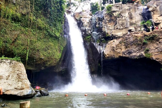 Ubud Private Tour : Best Of Ubud - Guided Tour - Tegalalang Rice Terrace and the subak system