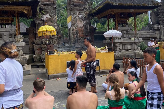 Ubud Private Tour: Monkey Forest, Rice Terrace, Temple, Waterfall - Swimming at Ulu Petanu Waterfall