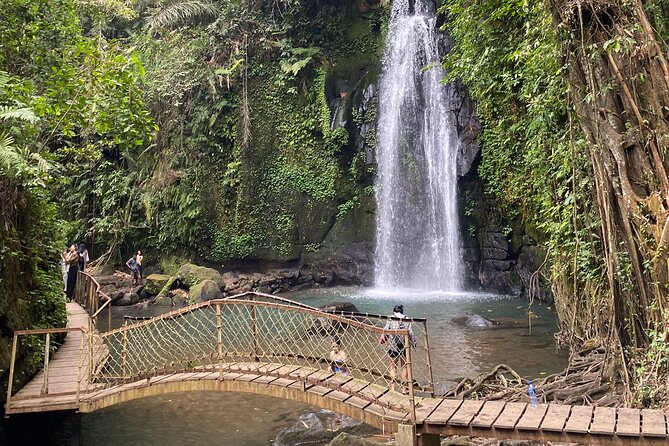 Ubud Private Tour: Monkey Forest, Rice Terrace, Temple, Waterfall - Purification at Tirta Empul Temple