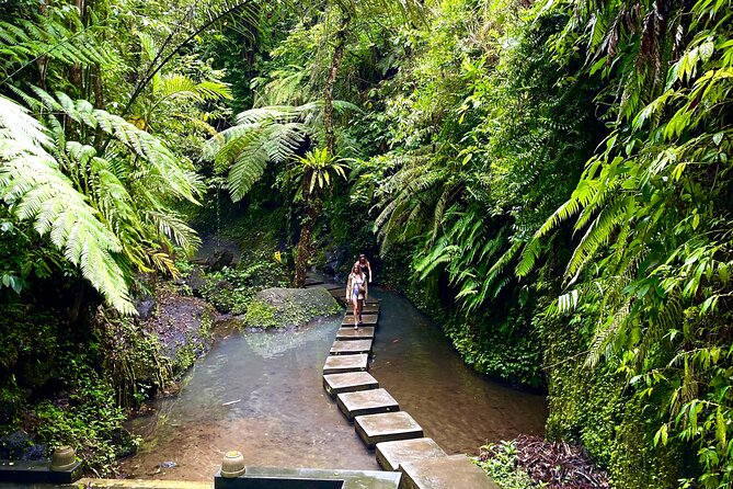 Ubud Private Tour: Monkey Forest, Rice Terrace, Temple, Waterfall - The return ride and the real time cost