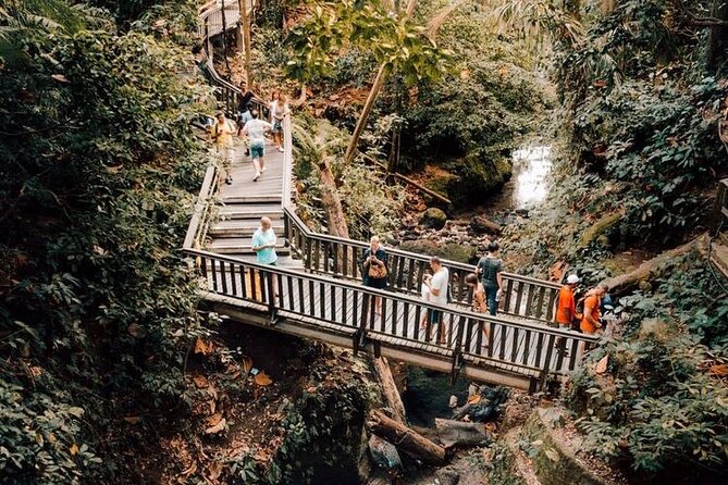Ubud Private Tour: Monkey Forest, Rice Terrace, Temple, Waterfall - Meeting the macaques at Sacred Monkey Forest