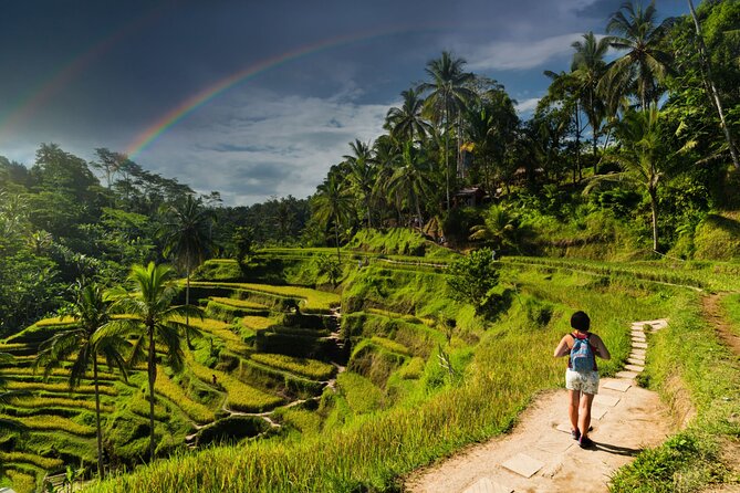 Forst Grotto Ubud Private Tour: Monkey Forest – Tirta Empul Temple – Introducing ...
