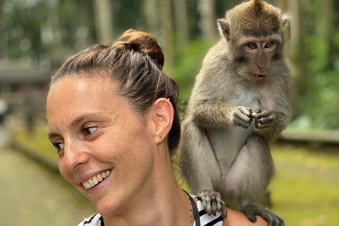 UBUD Private Tour – Rice Terrace, Jungle Swing & Hidden Waterfall - How the private vehicle changes the value