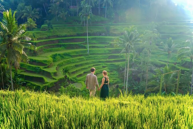UBUD Private Tour – Rice Terrace, Jungle Swing & Hidden Waterfall - Tibumana Waterfall: a calmer patch of green
