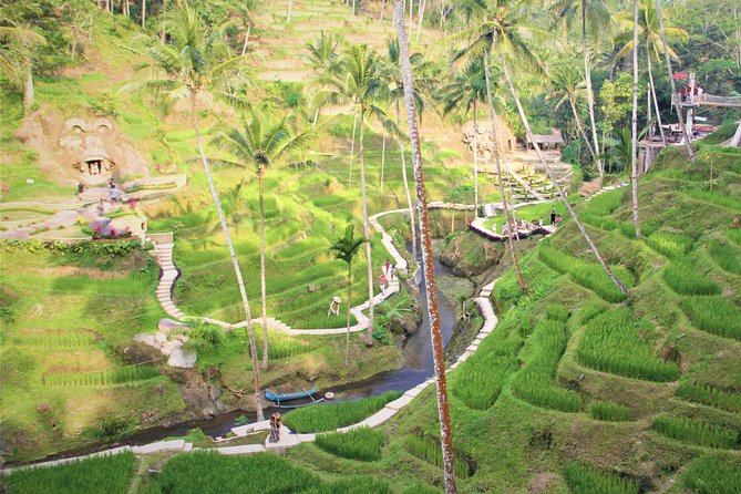 Ubud Private Tour : Ubud Temple and Authentic of Ubud - Tegalalang Rice Terrace and the subak tradition