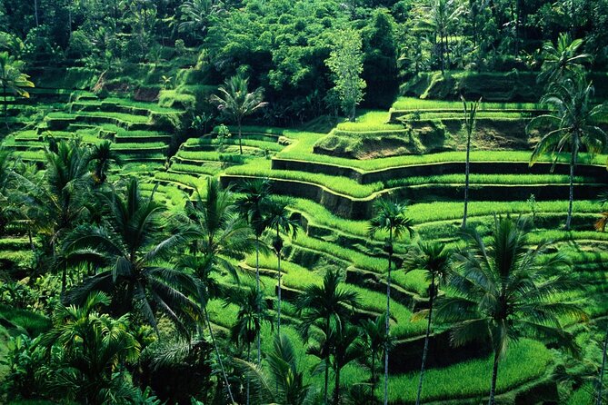 Ubud Private Tour : Ubud Temple and Authentic of Ubud - Batuan Temple and its carved stonework