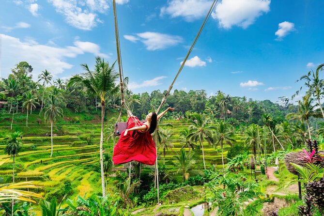 Ubud Private Tour: Waterfalls, Temple and Rice Terraces Swing - Key Things to Know Before You Book