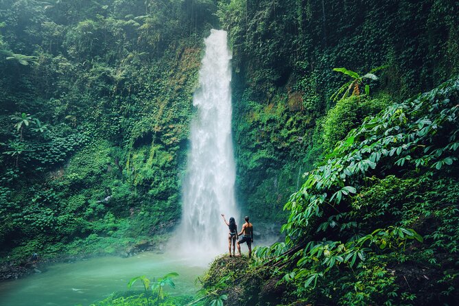 Ubud Private Tour: Waterfalls, Temple and Rice Terraces Swing - Lunch at D Alas Warung