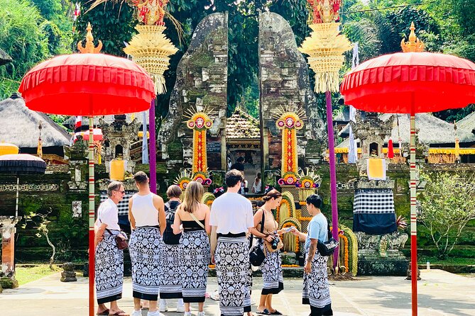 Ubud Private Tour: Waterfalls, Temple and Rice Terraces Swing - How the Private Vehicle Changes the Day