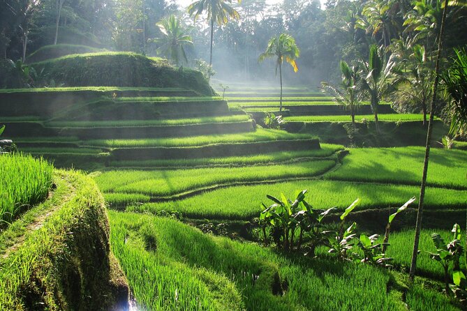 Ubud Private Tour - Waterfalls, Water Temple & Rice Terraces - Lunch at Sari Timbul By Kubu Bali