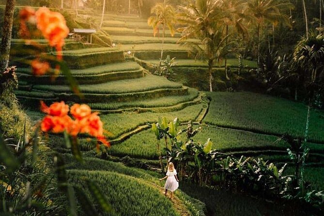 Ubud Private Tour - Waterfalls, Water Temple & Rice Terraces - The driver service makes the price more useful