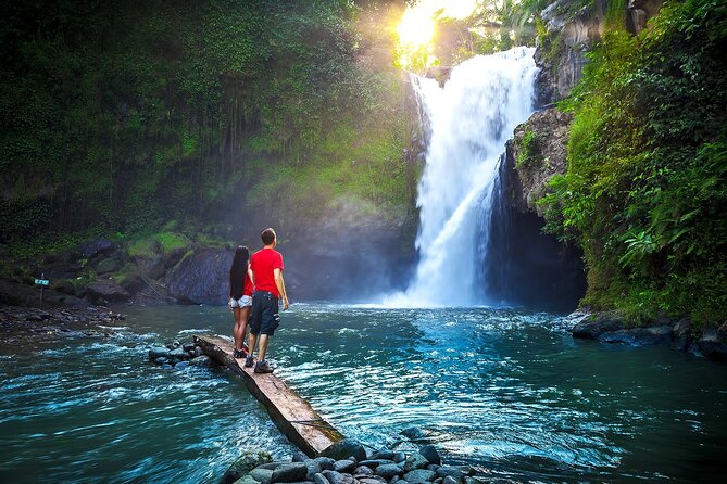 Ubud Private Tours with Jungle Swing Experience - all inclusive - Tegenungan Waterfall Saves the Best Nature Stop