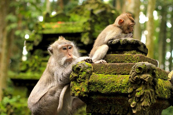 Ubud Sacred Monkey Forest & Art Village Tour - Inside Ubud’s Sacred Monkey Forest