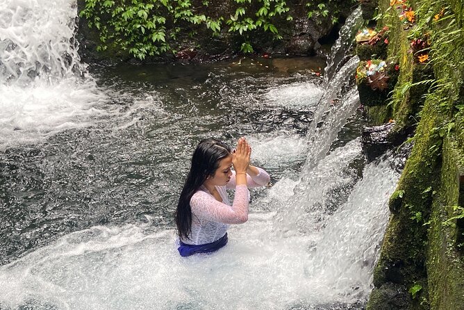 Ubud Shamanic Healing and Purification Ceremony - Transport from Ubud and the value of a private day