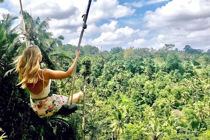 Ubud Sightseeing, Holy Water Temple & Waterfall - Dewa Putu Toris and Ubud’s Artisan Painting