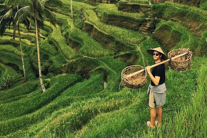 Ubud Sightseeing, Holy Water Temple & Waterfall - Starting in Ubud Between 7:00 and 8:00