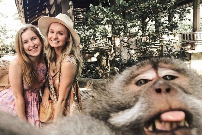 Ubud Skip the line Monkey Forest Sanctuary Ticket and Guided Tour - Why this short Ubud visit works