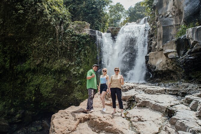 Ubud Small Group Tour: Monkey Forest, Tegalalang Rice Terraces and more - What this Ubud day tour is really designed to do