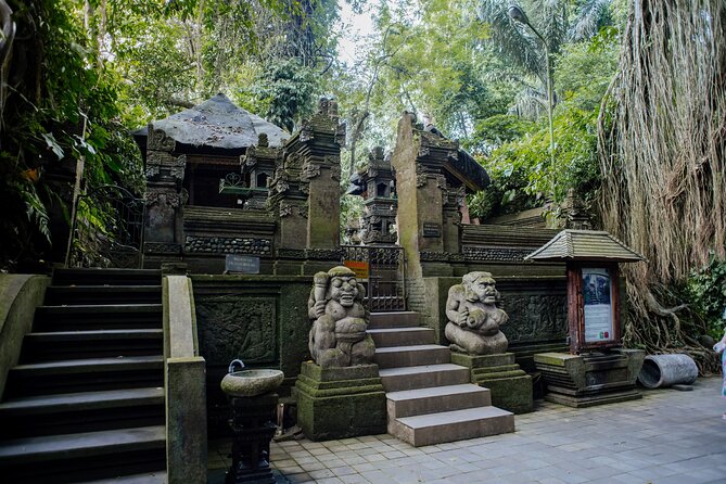 Ubud Small Group Tour: Monkey Forest, Tegalalang Rice Terraces and more - Tegalalang Rice Terraces: the visual highlight for many people